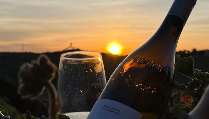  San Valentino Azienda Agricola Bio